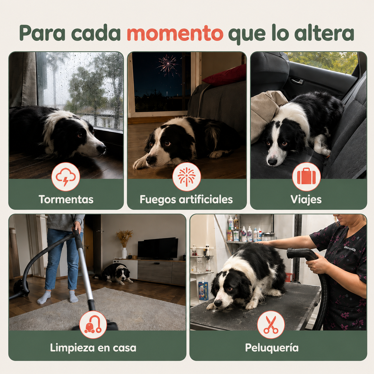 CalmEar™ — Orejeras Antirruidos Para Perros | Cleveria