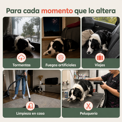 CalmEar™ — Orejeras Antirruidos Para Perros | Cleveria