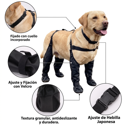 PawGuard™ — Patas limpias, casa limpia. | Cleveria