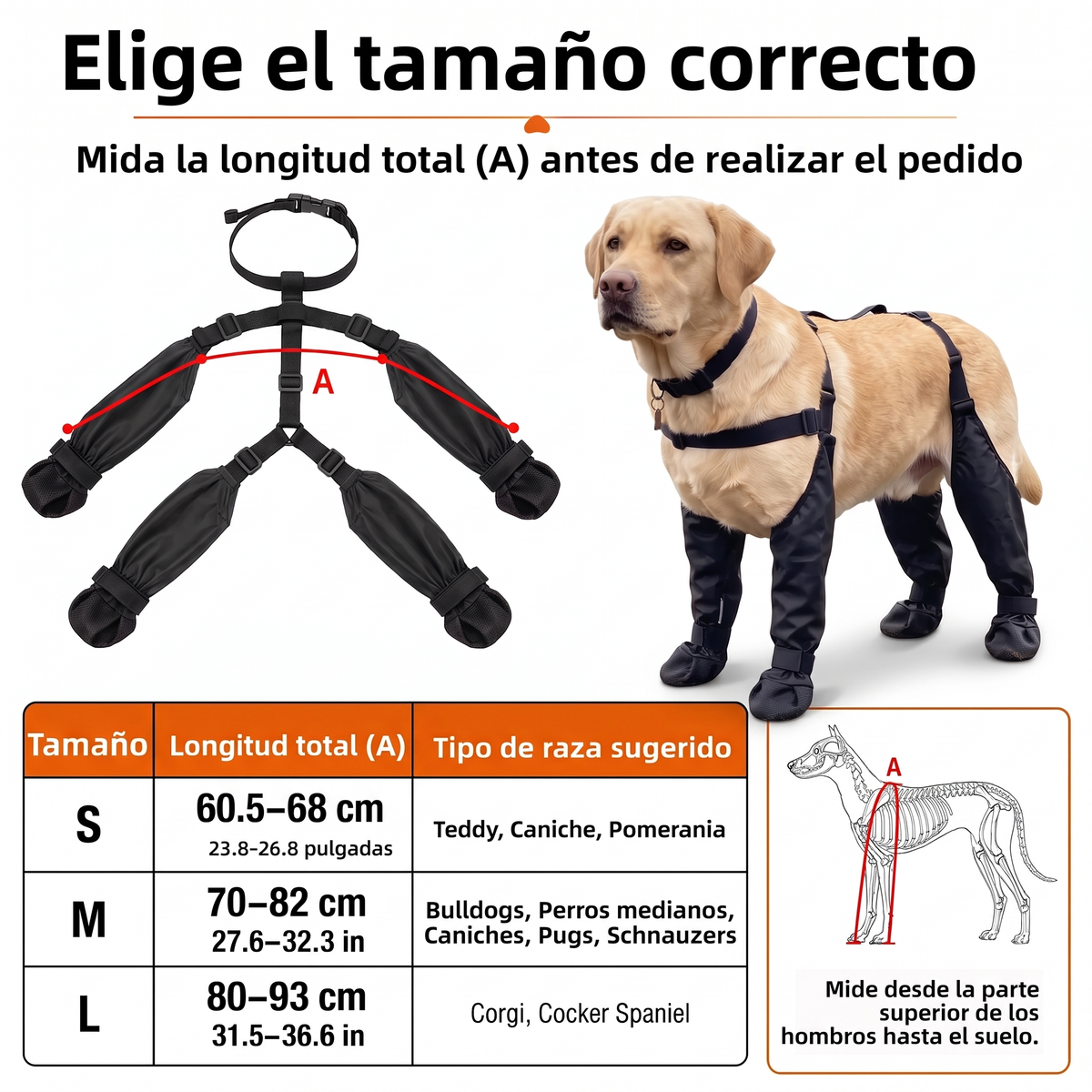 PawGuard™ — Patas limpias, casa limpia. | Cleveria
