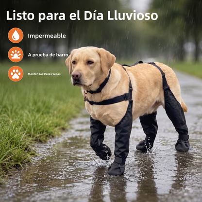 PawGuard™ — Patas limpias, casa limpia. | Cleveria